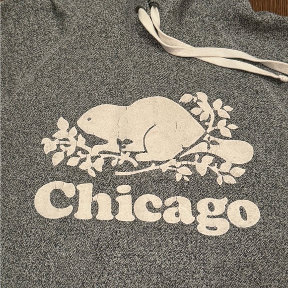 Roots Chicago - Picture 6 of 9